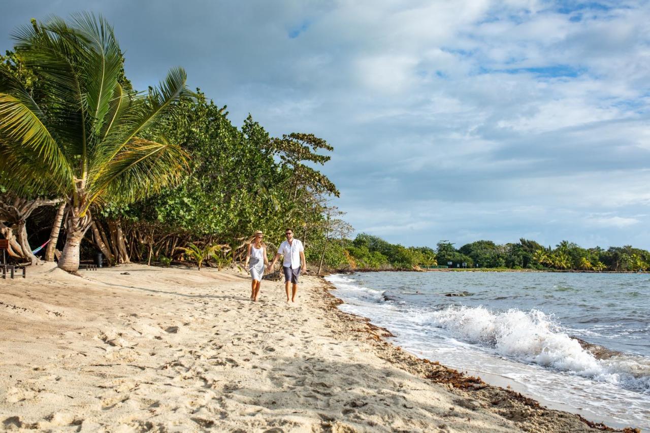 Mariposa Belize Beach Resort Placencia Ngoại thất bức ảnh
